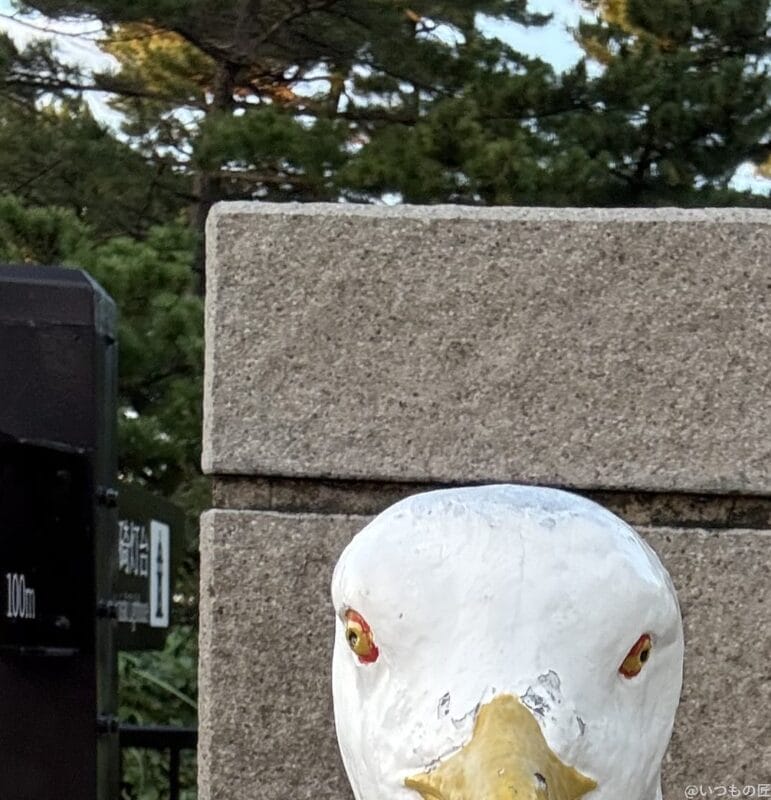 AQUOS R9 pro カメラ iPhone 16 Pro MAXのインカメラで撮影した写真