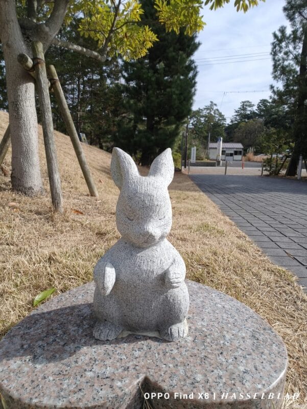 OPPO Find X8 カメラ OPPO Find X8のインカメラで撮影した写真