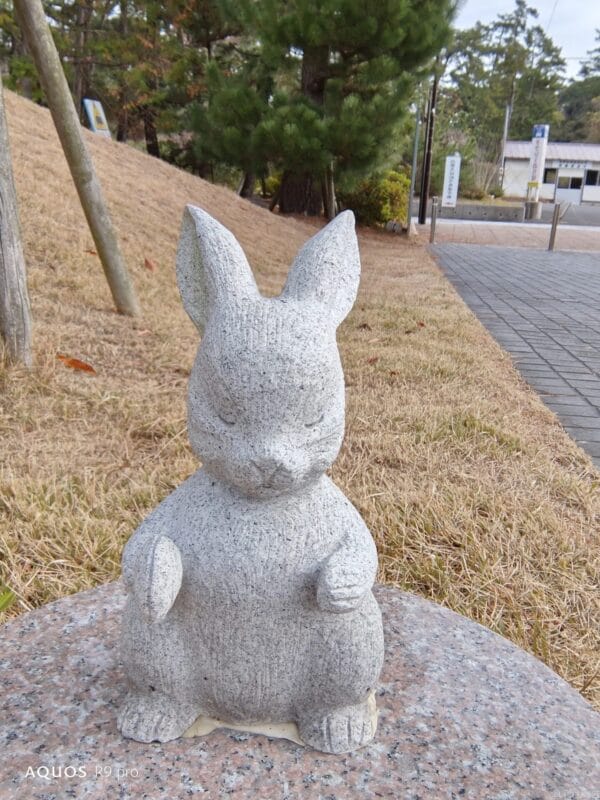 AQUOS R9 pro カメラ AQUOS R9 proのインカメラで撮影した写真