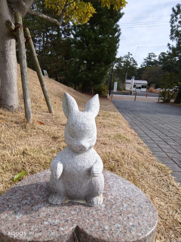 aquos r9 proのインカメラで撮影した写真 | モバイル比較レビュー.jp AQUOS R9 pro カメラ AQUOS R9 proのインカメラで撮影した写真