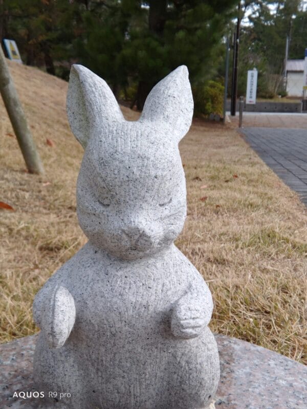 AQUOS R9 pro カメラ AQUOS R9 proのインカメラで撮影した写真