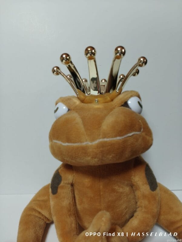 OPPO Find X8 カメラ OPPO Find X8のインカメラで撮影した写真