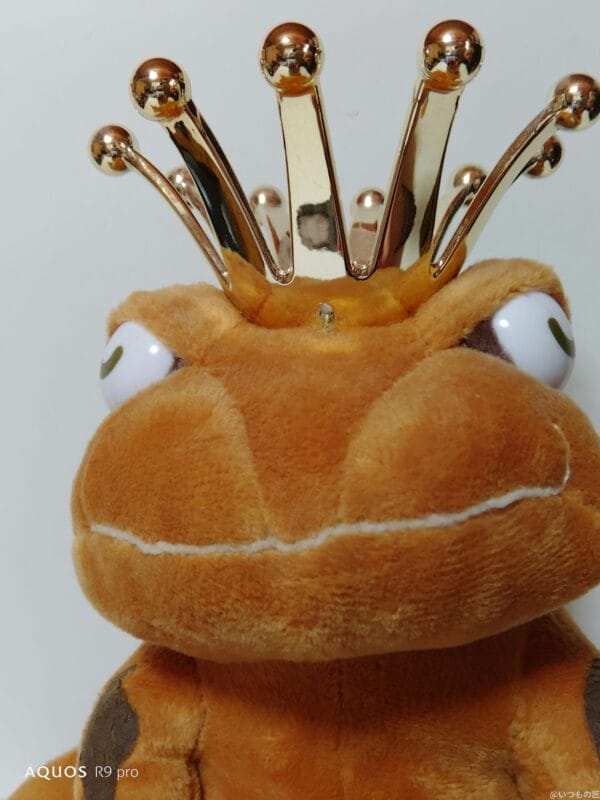 AQUOS R9 pro カメラ AQUOS R9 proのインカメラで撮影した写真