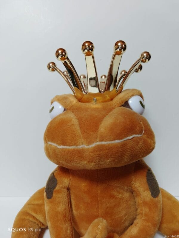 AQUOS R9 pro カメラ AQUOS R9 proのインカメラで撮影した写真