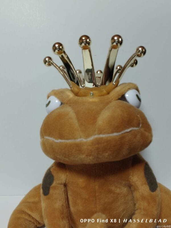 OPPO Find X8 カメラ OPPO Find X8のインカメラで撮影した写真