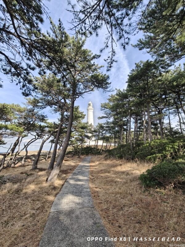 OPPO Find X8 カメラ OPPO Find X8でズーム撮影した風景写真