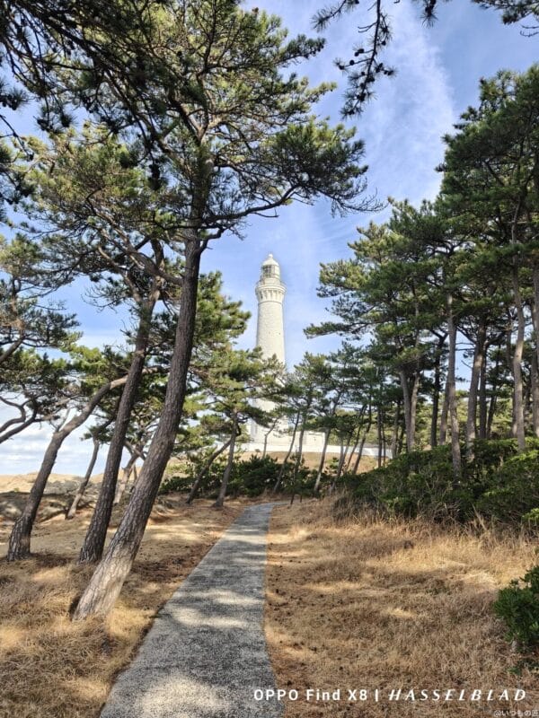 OPPO Find X8 カメラ OPPO Find X8でズーム撮影した風景写真