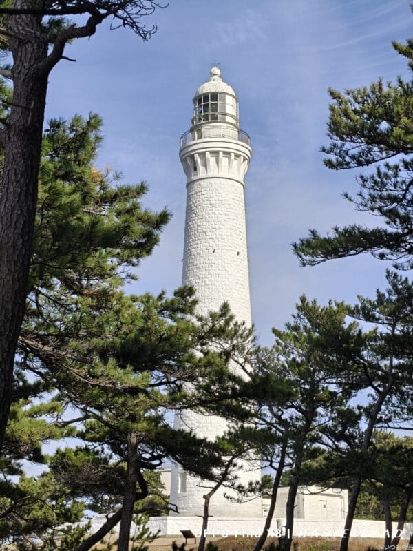 OPPO Find X8 カメラ OPPO Find X8でズーム撮影した風景写真