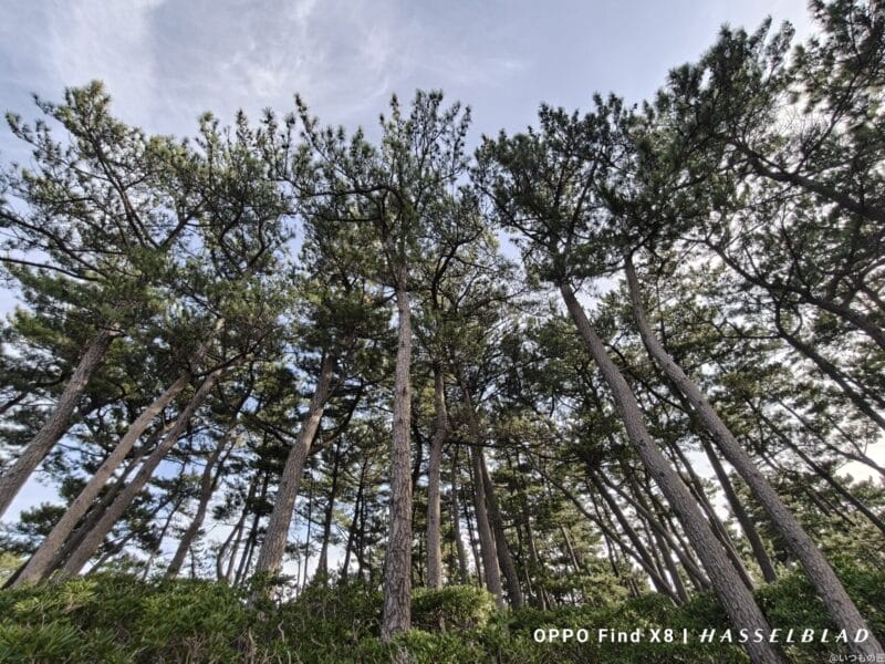 OPPO Find X8 カメラ OPPO Find X8で撮影した風景写真