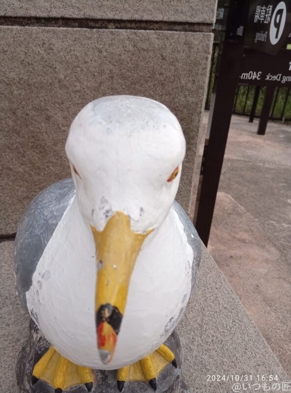 nubia S 5G カメラ OPPO A3 5G インカメラで撮影した写真