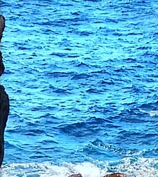 nubia S 5G カメラ nubia S 5G で撮影した風景写真