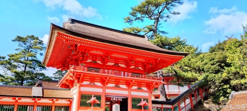 nubia S 5G カメラ nubia S 5G で撮影した風景写真