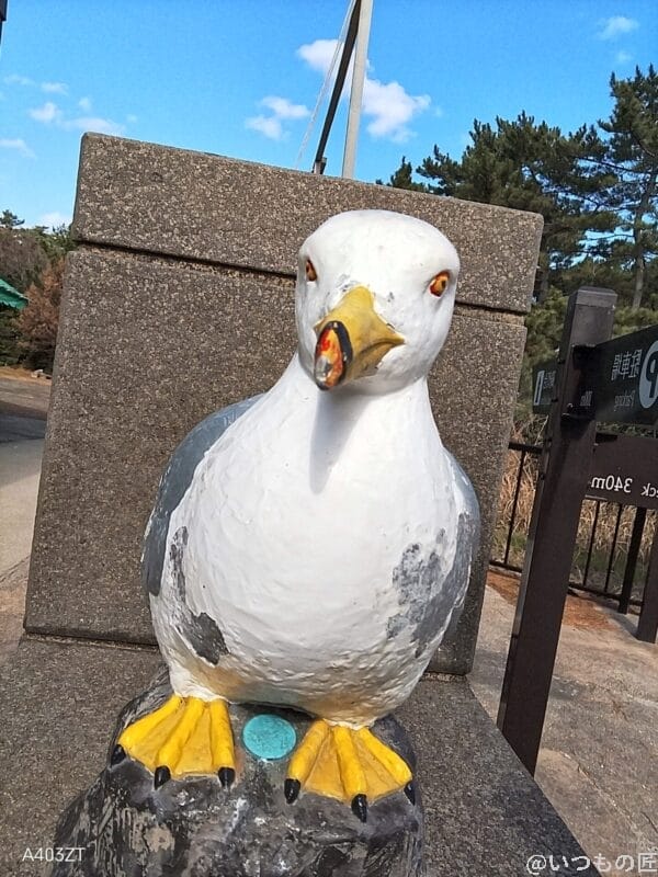 nubia S 5G カメラ nubia S 5G インカメラで撮影した写真