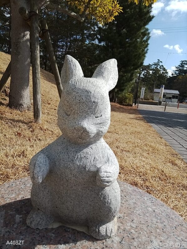 nubia S 5G カメラ nubia S 5G インカメラで撮影した写真