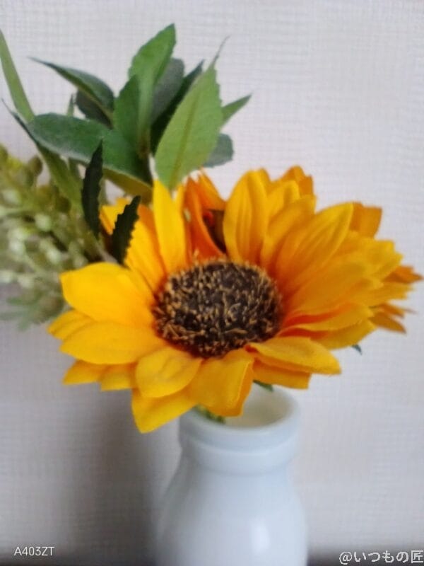 nubia s 5gでマクロ撮影した写真 | モバイル比較レビュー.jp nubia S 5G レビュー nubia S 5Gでマクロ撮影した写真