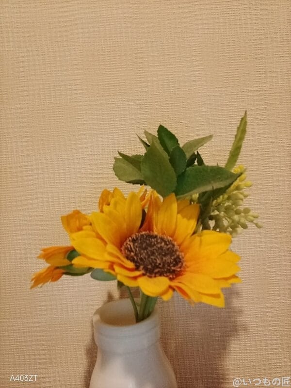 nubia s 5gでインカメラ撮影した写真 | モバイル比較レビュー.jp nubia S 5G レビュー nubia S 5Gでインカメラ撮影した写真