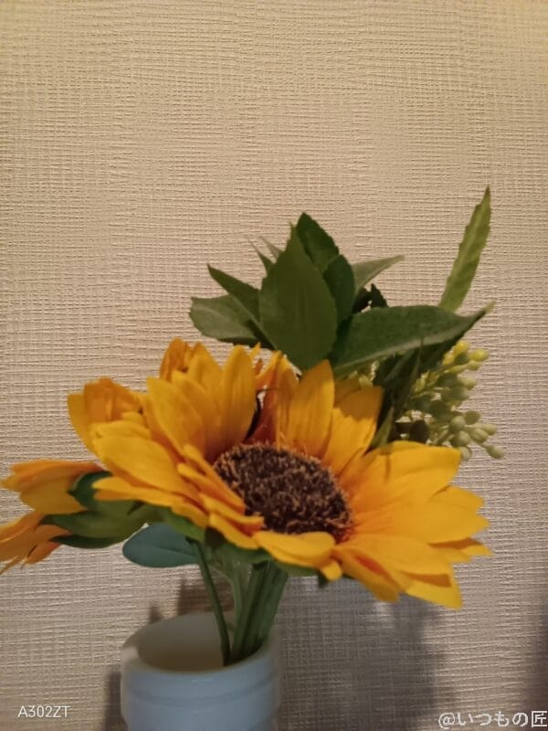 libero 5g Ⅳのインカメラで撮影した写真 | モバイル比較レビュー.jp nubia S 5G レビュー Libero 5G Ⅳのインカメラで撮影した写真