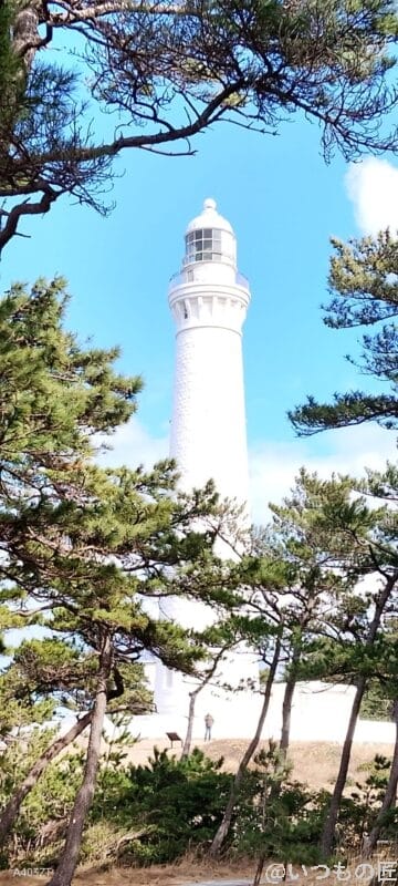 nubia s 5gでズーム撮影した風景写真 | モバイル比較レビュー.jp nubia S 5G レビュー nubia S 5Gでズーム撮影した風景写真