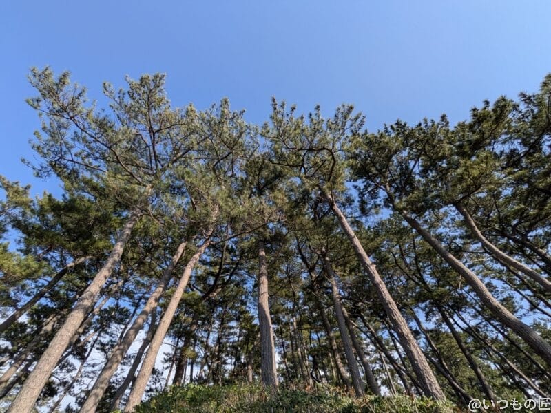 google pixel 9aで撮影した風景写真 | モバイル比較レビュー.jp Google Pixel 9a カメラ Google Pixel 9aで撮影した風景写真