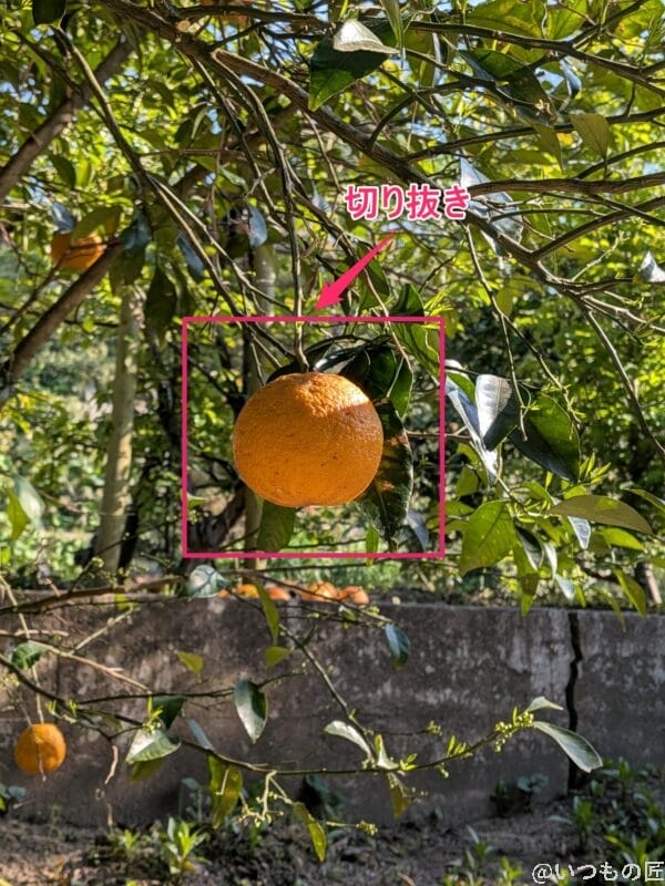 google pixel 9aで撮影した風景写真 | モバイル比較レビュー.jp Google Pixel 9a カメラ Google Pixel 9aで撮影した風景写真