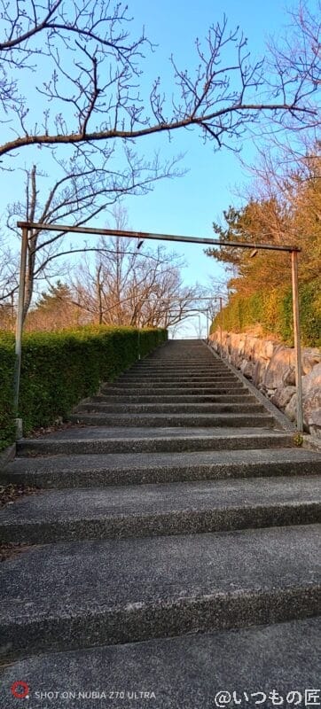 超広角カメラで撮影した風景写真 | モバイル比較レビュー.jp nubia Z70 Ultra カメラ 超広角カメラで撮影した風景写真