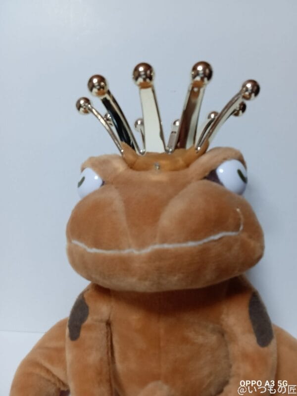Galaxy A25 5G カメラ OPPO A3 5Gでぬいぐるみを自撮りした写真