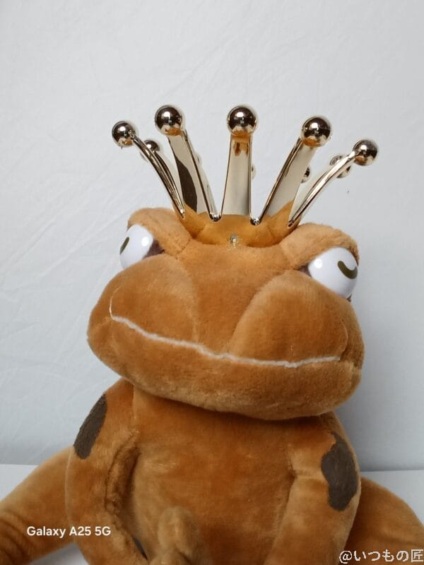 Galaxy A25 5G カメラ 屋内でぬいぐるみを自撮りした写真
