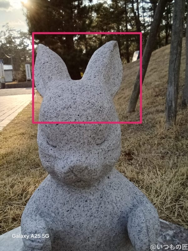 Galaxy A25 5G カメラ うさぎの銅像を自撮りした写真