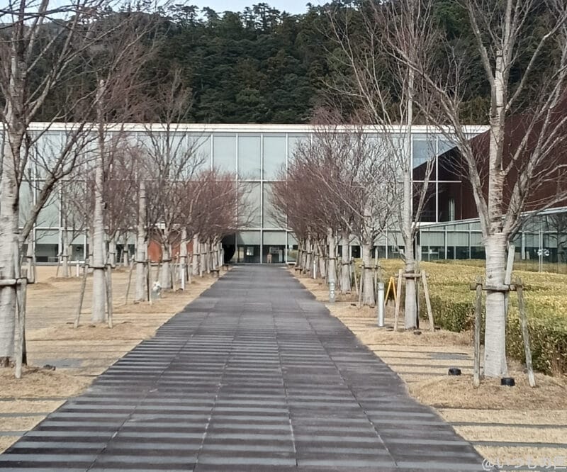 Galaxy A25 5G カメラ OPPO A3 5Gの風景写真を切り抜き・拡大した写真