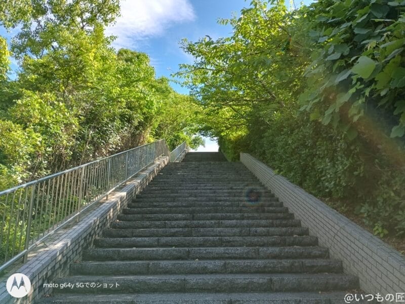 Galaxy A25 5G カメラ moto g64 5Gで撮影した風景写真