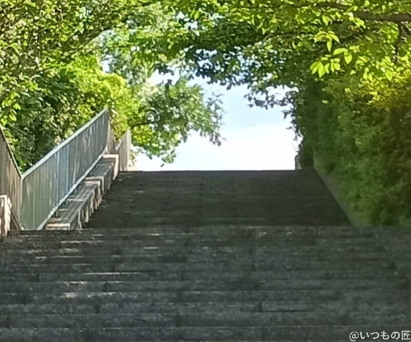 Galaxy A25 5G カメラ moto g64 5Gの風景写真を切り抜き・拡大した写真