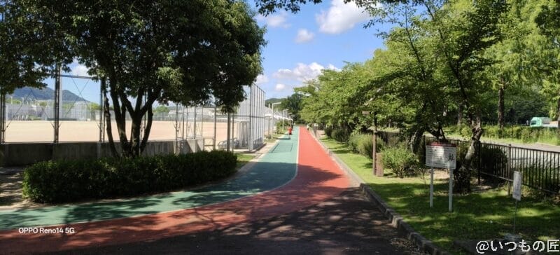 motorola edge 60s pro カメラ 晴天下のランニングコース