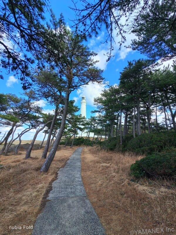 nubia Fold カメラ 遠くに見える白い灯台