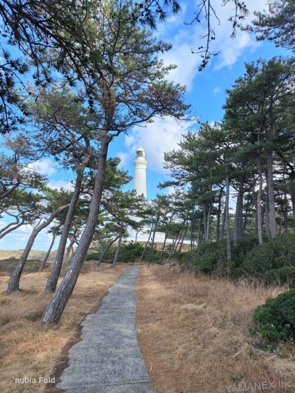 nubia Fold カメラ 遠くに見える白い灯台