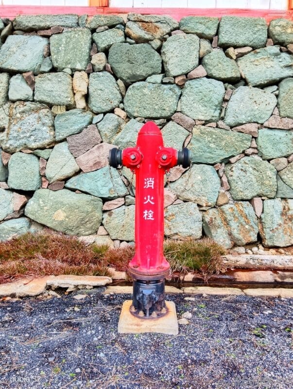 nubia S2 カメラ 赤い消火栓