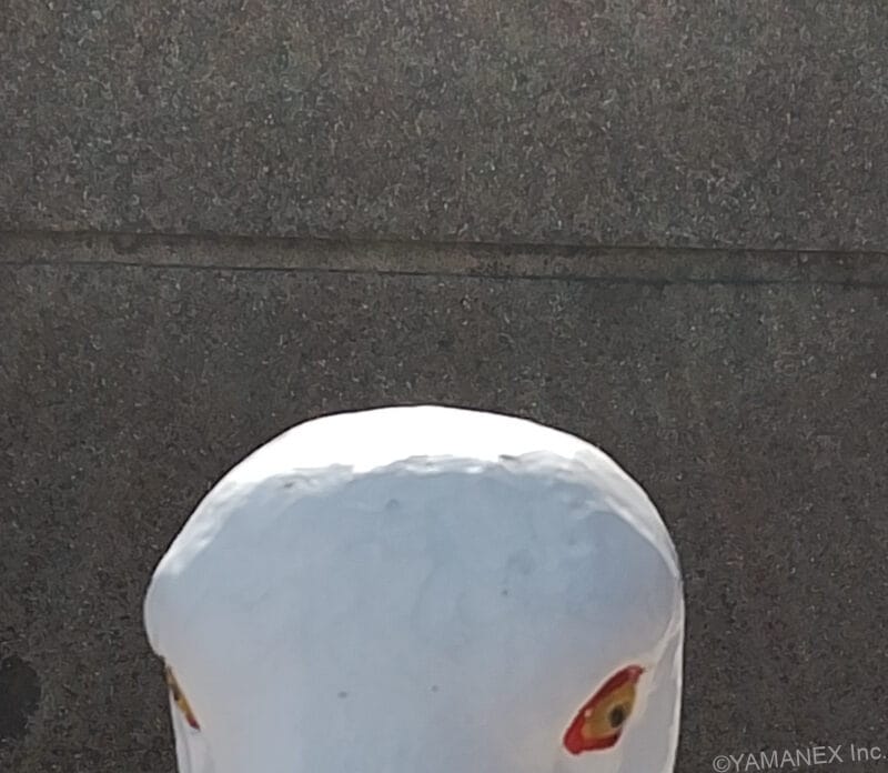 鳥の銅像を自撮り撮影した一枚 | モバイル比較レビュー.jp nubia S2 カメラ 鳥の銅像を自撮り撮影した一枚