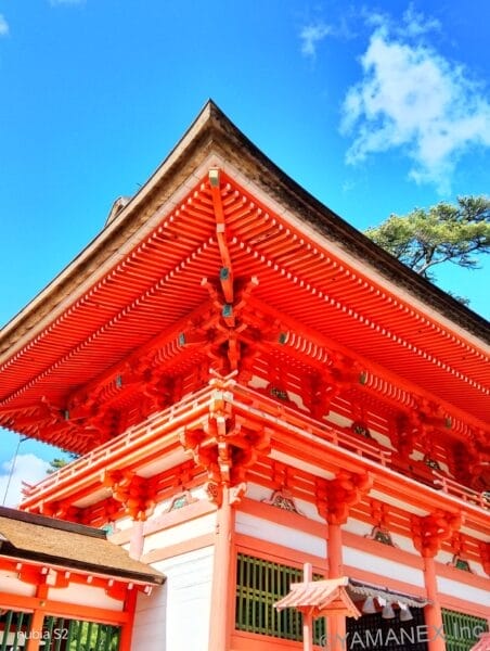 nubia S2 カメラ 赤い神社