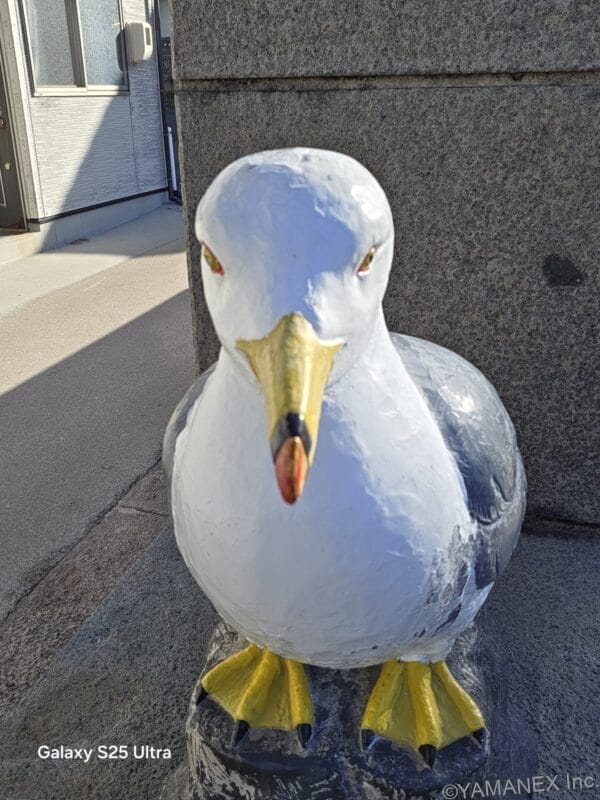 Galaxy S26 カメラ 鳥の銅像をフロントカメラ撮影