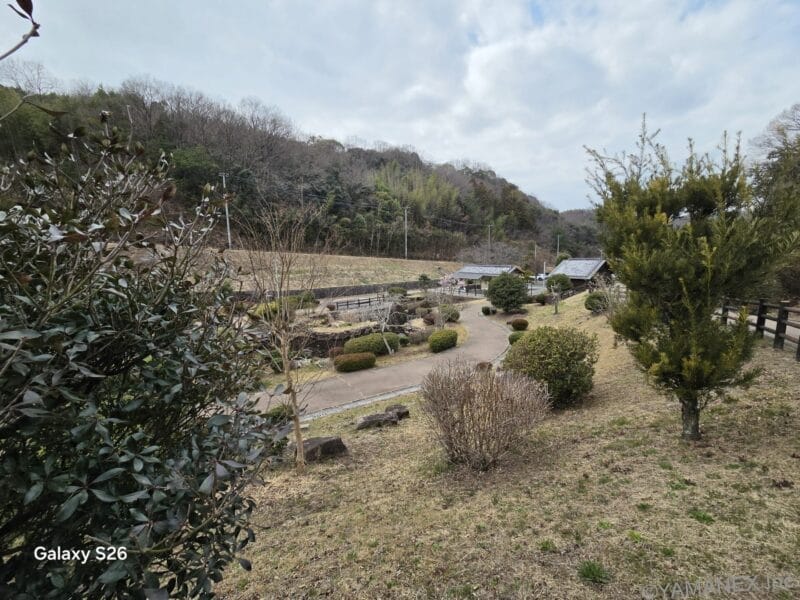 Galaxy S26 カメラ 庭園を撮影