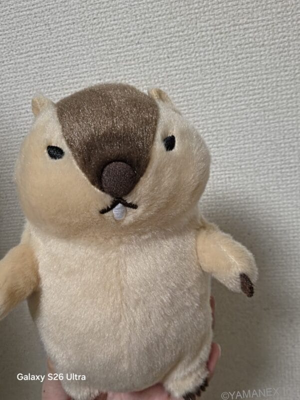 Galaxy S26 カメラ マスコット人形をフロントカメラ撮影