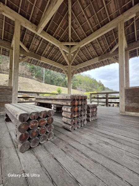 Galaxy S26 Ultra カメラ 丸太の年輪をズーム撮影