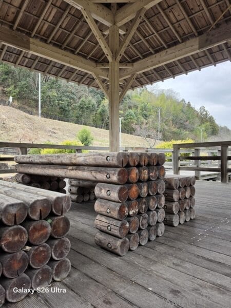 Galaxy S26 Ultra カメラ 丸太の年輪をズーム撮影