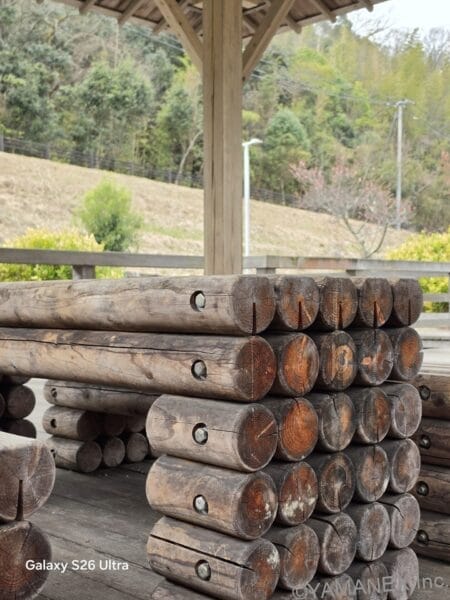 Galaxy S26 Ultra カメラ 丸太の年輪をズーム撮影