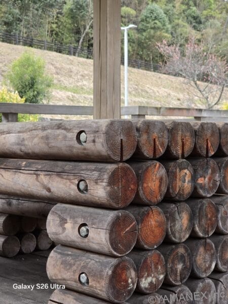 Galaxy S26 Ultra カメラ 丸太の年輪をズーム撮影