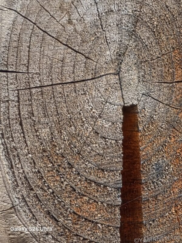 Galaxy S26 Ultra カメラ 丸太の年輪をズーム撮影