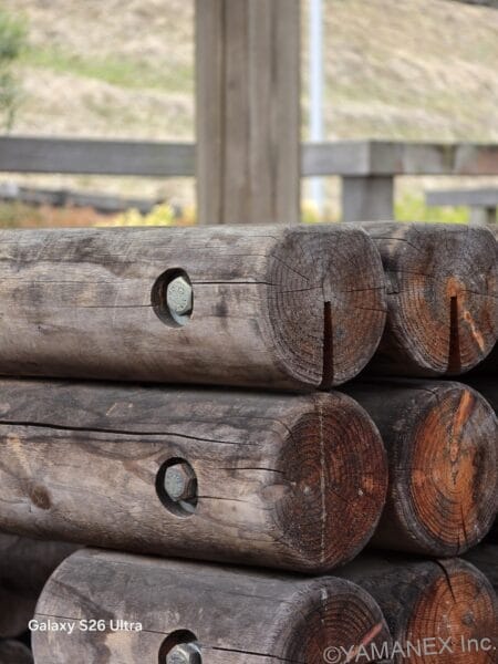 Galaxy S26 Ultra カメラ 丸太の年輪をズーム撮影