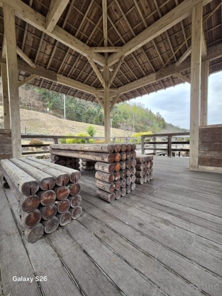 Galaxy S26 カメラ 丸太が積み重なった様子を撮影