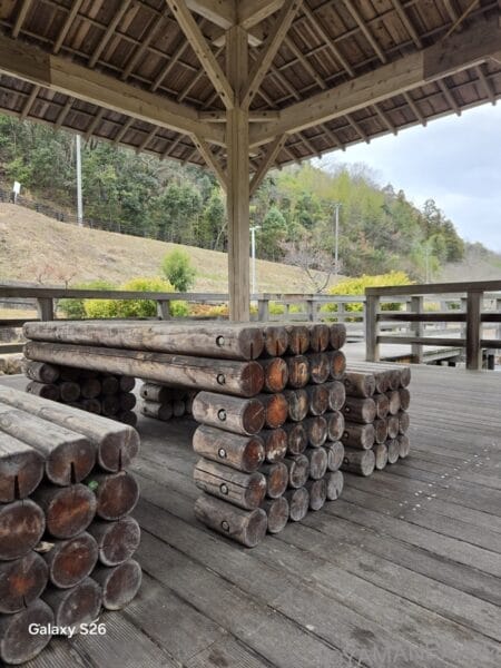 Galaxy S26 カメラ 丸太が積み重なった様子を撮影