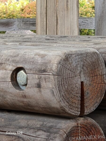 Galaxy S26 カメラ 丸太が積み重なった様子を撮影