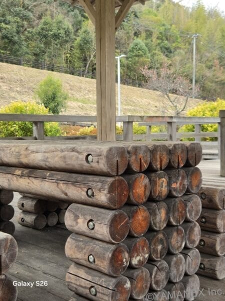 Galaxy S26 カメラ 丸太が積み重なった様子を撮影